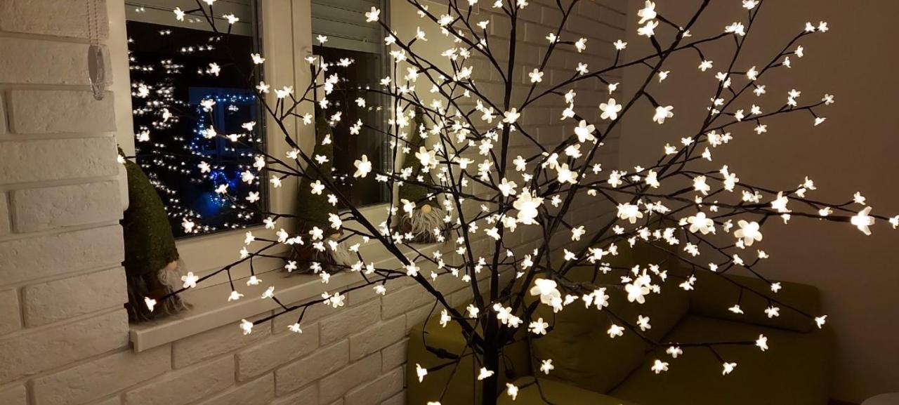 Apartment Ana, Vracar, เบลเกรด ภายนอก รูปภาพ